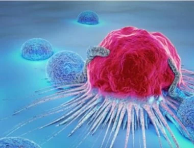 Ανακάλυψαν το πρωταρχικό «κύτταρο προέλευσης» ίσως για κάθε τύπο καρκίνου